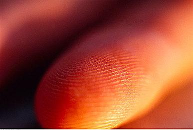 《最终幻想14》官方INS发布 6.0新坐骑实机演示